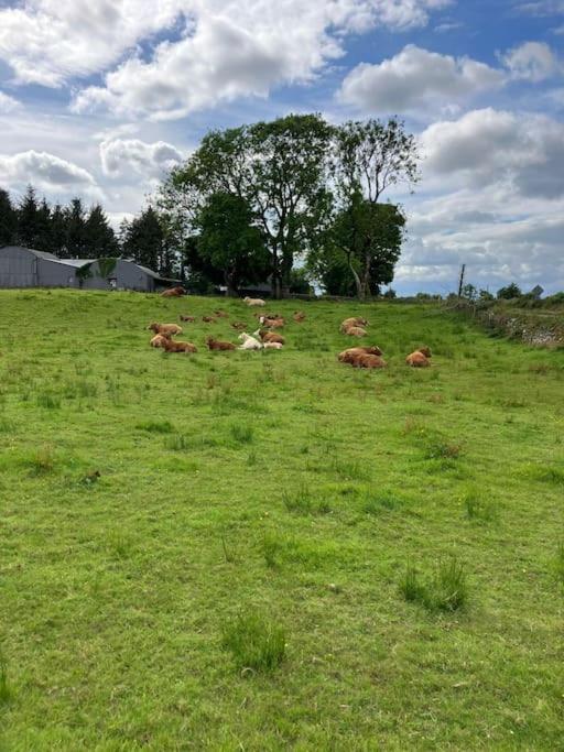 Whitethorn Cottage, Palmfield Ballaghaderreen Zewnętrze zdjęcie